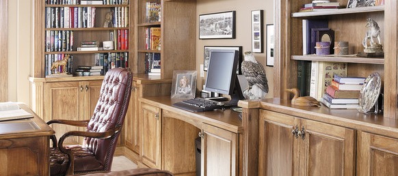 Ideas for the Perfect Home Office